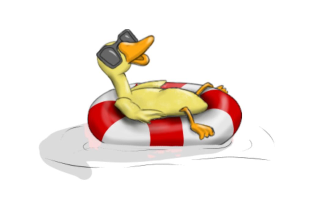 duck on water
